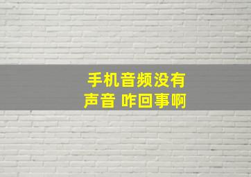 手机音频没有声音 咋回事啊